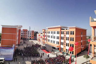 碧桂园4 x扶贫模式 聚焦关键 人 激发乡村内生动力