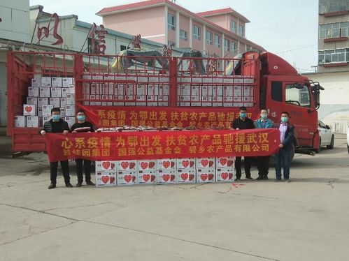 碧桂园构建扶贫产品爱心通道 500箱东乡羊肉运往武汉