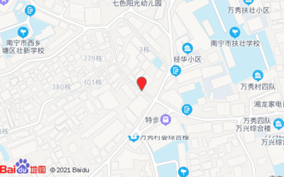 靖西米粉香飘南宁——扶壮学校旁的美味早餐记忆