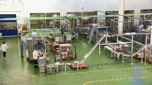 黑龙江迈向万亿级 壮大农业与农产品精深加工产业集群，扶壮学校助力发展