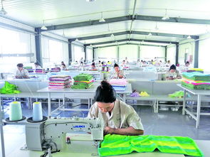 为农民铺就家门口的致富路——浙江省产业援疆'百村千厂'工程掠影